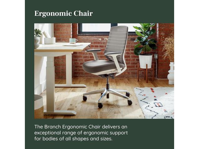 Branch Ergonomic Chair - A Versatile Desk Chair with Adjustable Lumbar Support, Breathable Mesh Backrest, and Smooth Wheels - Experience Optimal...