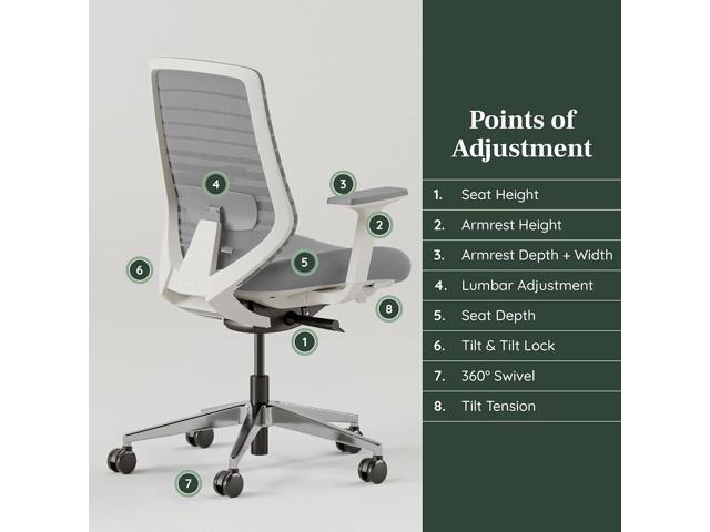 Branch Ergonomic Chair - A Versatile Desk Chair with Adjustable Lumbar Support, Breathable Mesh Backrest, and Smooth Wheels - Experience Optimal...
