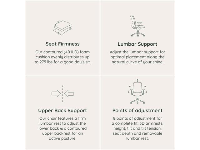 Branch Ergonomic Chair - A Versatile Desk Chair with Adjustable Lumbar Support, Breathable Mesh Backrest, and Smooth Wheels - Experience Optimal...