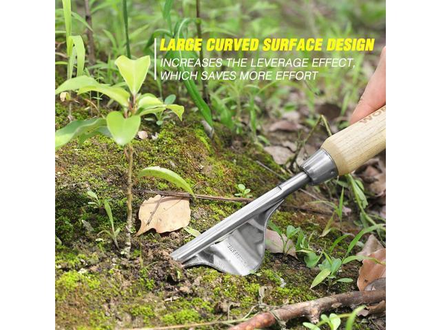 WORKPRO Garden Tools Set, 8 Piece, Stainless Steel Heavy Duty Gardening Tools with Wooden Handle, Including Garden Tote, Gloves, Trowel, Hand...