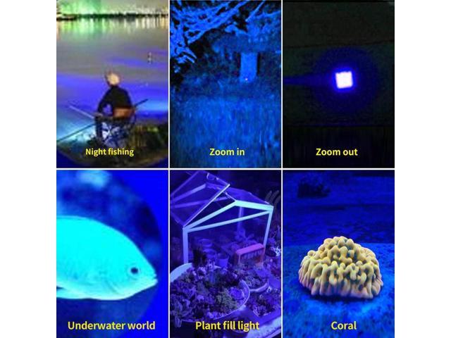 Rechargeable Multi Function Flashlights 4 Color Light, Black Light UV Flashlights, Blood Tracking Light for Observation. LED UV Black Light and Blue...
