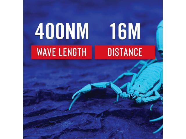 Coast 21134 PX100 400nm UV Black Light, Batteries Included