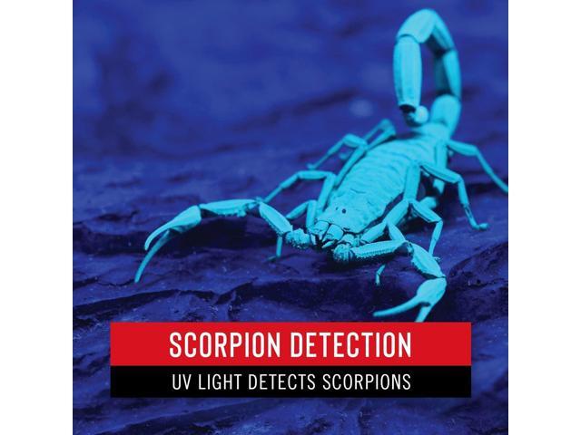 Coast 21134 PX100 400nm UV Black Light, Batteries Included