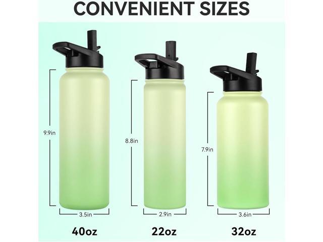 DOMICARE 32 oz Insulated Water Bottle Bulk, Vacuum Insulated Stainless Steel Sports Water Bottle with Straw Lid & Spout Lid, Leakproof, Reusable -...