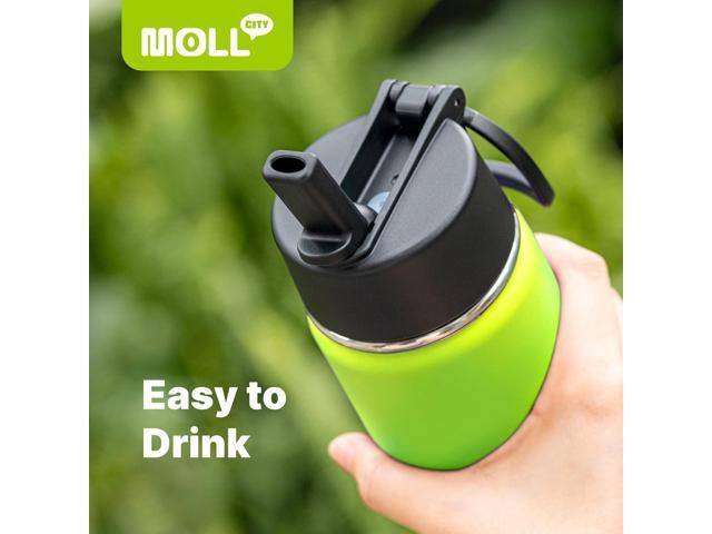 Kids Insulated Water Bottle with Straw-16 oz Stainless Steel Double Wall Vacuum Wide Mouth Sports Water Bottles for School, Metal Water Flask for...