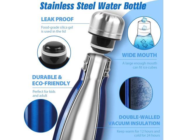 Sfee Insulated Water Bottle, 17 oz Stainless Steel Water Bottles, Double Wall Vacuum Reusable Water Bottles Leak Proof BPA-FREE Sports Bottle Cup...
