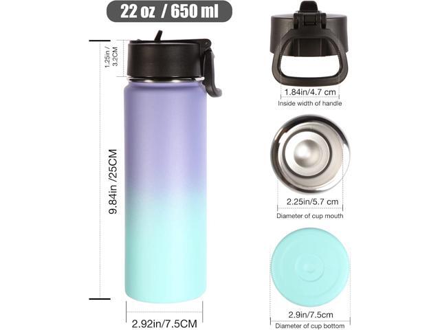 Volhoply Insulated Water Bottles with Straw Bulk 2 Pack, 22 oz Stainless Steel Sports Bottle with Handle Lid,Double Wall Vacuum Metal Travel Water...