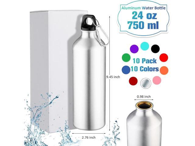 10 Pack 24 oz Aluminum Water Bottles Lightweight Reusable Bottles Aluminum Travel Cups with Carabiner Leak Proof Team Water Cups in bulk for Gym...