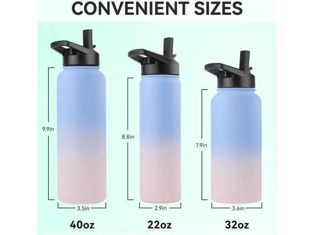 DOMICARE Insulated Water Bottle, 22 oz Vacuum Insulated Stainless Steel Reusable Sports Bottle with Straw Lid & Spout Lid for Travel, Camping,...