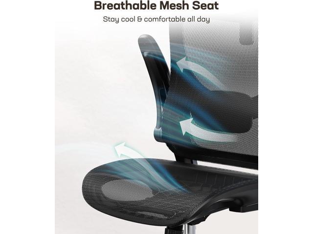 Marsail Ergonomic Mesh Office Chair High Back Home Office Desk Chair with Adaptive Lumbar Support, 2D Headrest, 3D Flip-Up Armrests, Height...