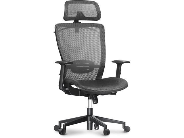 FLEXISPOT Ergonomic Home Office Chair, High Back Mesh Computer Chair, Comfy Desk Chairs with Lumbar Support Tilt Function 3D Headrest 2D Armrest,...