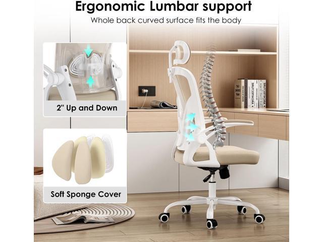 Farini Ergonomic Office Chair, Home Office Desk Chair with Headrest, High Back Computer Chair with Armrests and Adjustable Lumbar Support for Home...