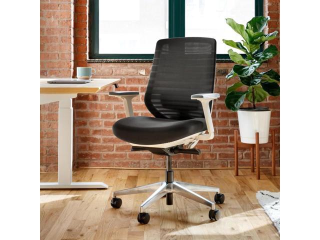 Branch Ergonomic Chair - A Versatile Desk Chair with Adjustable Lumbar Support, Breathable Mesh Backrest, and Smooth Wheels - Experience Optimal...