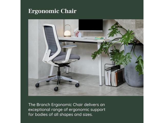Branch Ergonomic Chair - A Versatile Desk Chair with Adjustable Lumbar Support, Breathable Mesh Backrest, and Smooth Wheels - Experience Optimal...