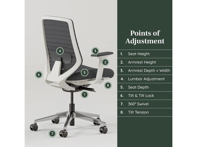 Branch Ergonomic Chair - A Versatile Desk Chair with Adjustable Lumbar Support, Breathable Mesh Backrest, and Smooth Wheels - Experience Optimal...