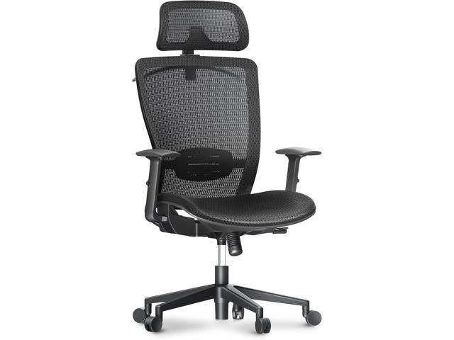 FLEXISPOT Ergonomic Office Chair High Back Mesh Swivel Computer Chair Home Office Desk Chairs with Wheels Lumbar Support Deep Black