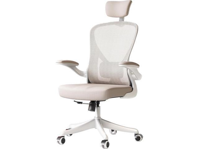 Ergonomic Office Chair with Adjustable Lumbar Support & Flip-Up Armrests - High Back Computer Desk Chair with Thickened Seat Cushion, Rolling...