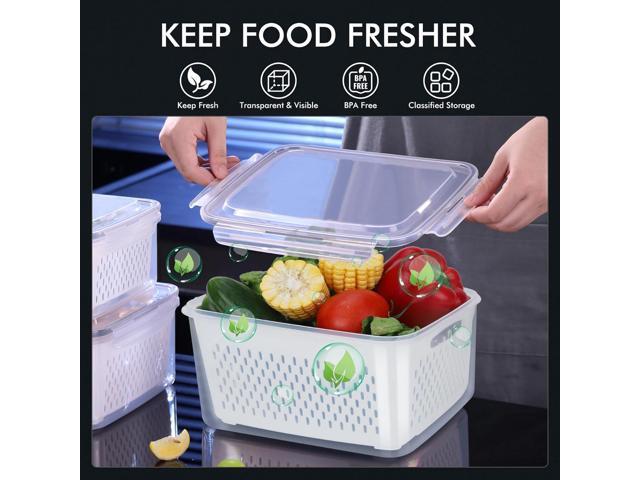 HOTEC 5-Pack Large Fruit Storage Container with Removable Colander, Dishwasher & microwave safe Largest 4.15L