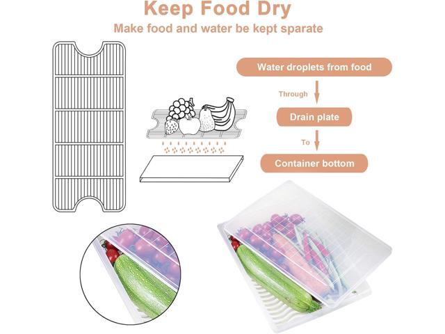 Food Storage Container, Plastic Food Containers with Removable Drain Plate and Lid, Stackable Portable Freezer Storage Containers - Tray to Keep...