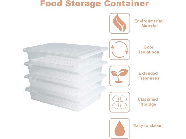 Food Storage Container, Plastic Food Containers with Removable Drain Plate and Lid, Stackable Portable Freezer Storage Containers - Tray to Keep...