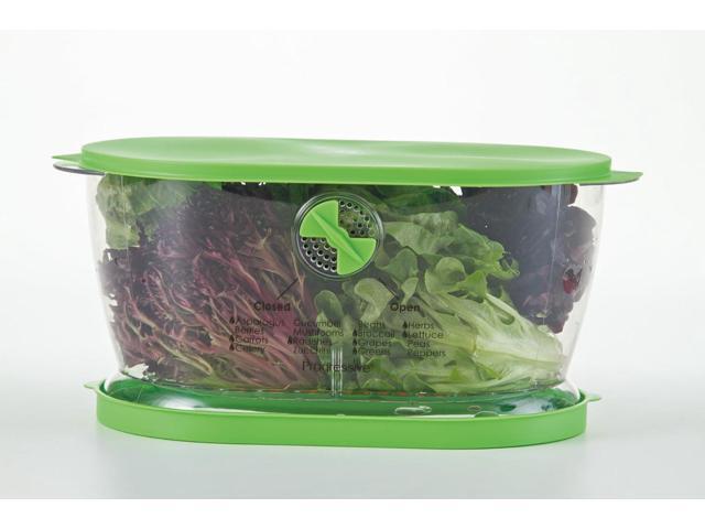 Prep Solutions by Progressive Lettuce Keeper Produce Storage Container, 4.7 Quarts, Green (LKS-06)
