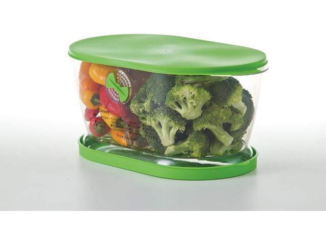 Prep Solutions by Progressive Lettuce Keeper Produce Storage Container, 4.7 Quarts, Green (LKS-06)