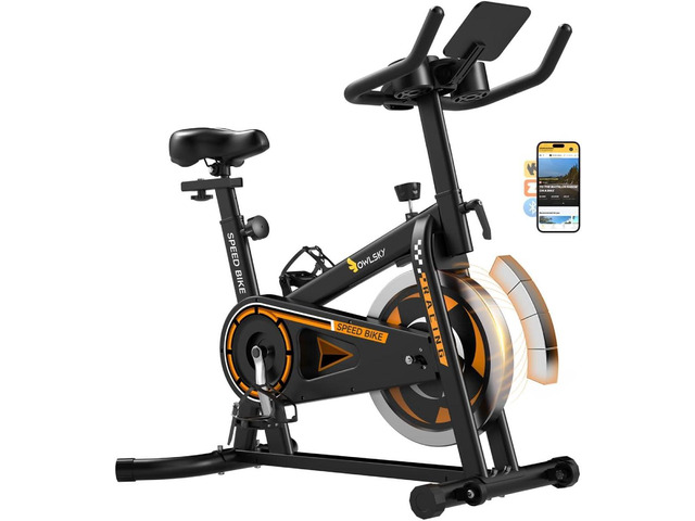 OWLSKY Exercise Bike with APP, Stationary Bike for Home, 300 lbs Capacity Quiet Indoor Cycling Bike Gym Cardio Workout, Adjustable Seat & Tablet...