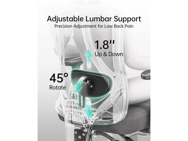 Hbada P3 Ergonnomic Office Chair with 2D Adjustable Lumbar Support, Office Chair with Adjustable Headrest and Armrest, 145° Stepless Tilt Function,...