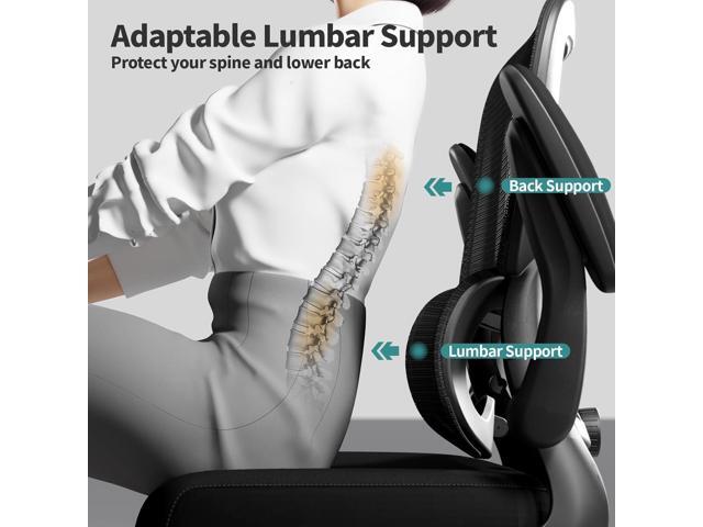 TRALT Office Chair - Ergonomic Desk Chair with Adjustable Lumbar Support, Mesh Computer Chair, Executive Chairs for Home Office Comfortable Lumbar...