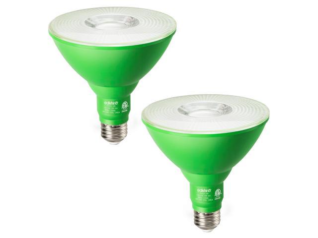 Photos - Light Bulb EDISHINE Par38 LED Green Flood  for Outdoor, Garden, Party, 18W