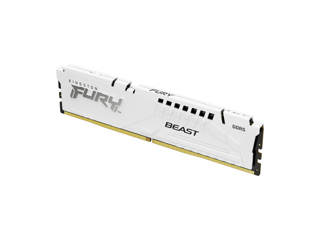 Kingston FURY Beast White Single 16GB DDR5 Memory,5600MT/s PC5-44800 CL40 40-40-40 Timing 1.25V On-die ECC Unbuffered 288Pin UDIMM Standard Desktop...