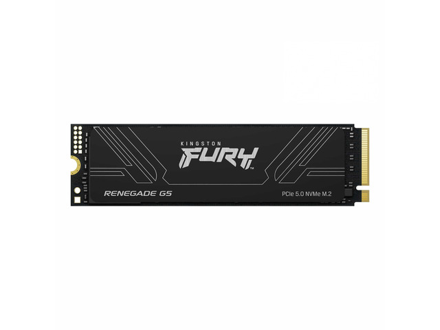 Kingston FURY Renegade G5 4TB PCIe 5.0 NVMe M.2 2280 SSD, 3D TLC with DRAM Cache, DirectStorage Supported, Up to 14800MB/s Read 14000MB/s Write,...