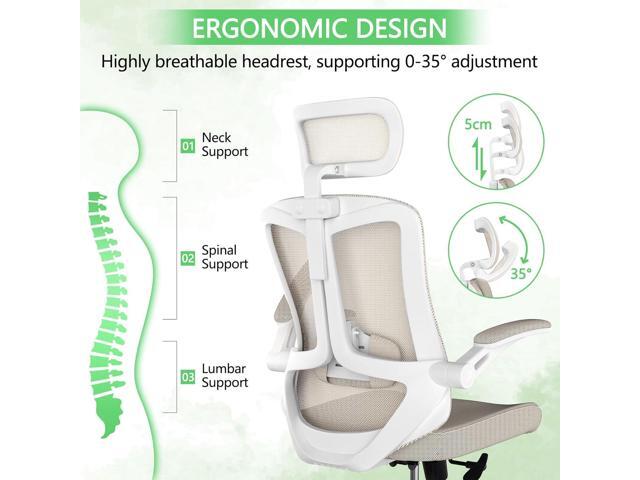 balmstar Ergonomic Office Chair, Home Office Desk Chair with Adjustable Headrest & Lumbar Support, Swivel High Back Computer Chair, Breathable Mesh...