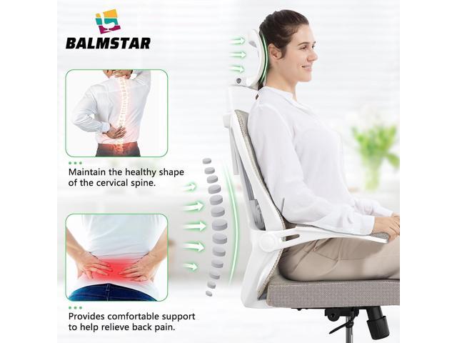 balmstar Ergonomic Office Chair, Home Office Desk Chair with Adjustable Headrest & Lumbar Support, Swivel High Back Computer Chair, Breathable Mesh...