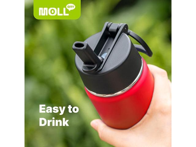 16 oz Water Bottle for Kids-Stainless Steel Double Wall Vacuum Insulated Sports Water Bottles for School, Metal Leak-Proof Water Flask with Straw...