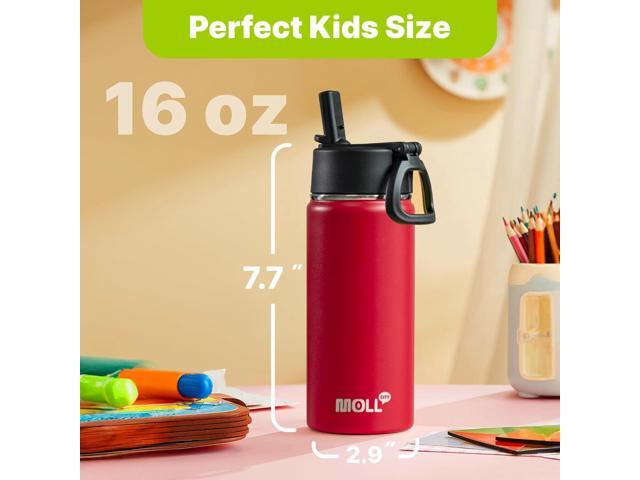 16 oz Water Bottle for Kids-Stainless Steel Double Wall Vacuum Insulated Sports Water Bottles for School, Metal Leak-Proof Water Flask with Straw...