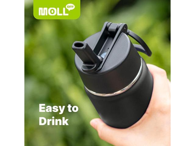 Insulated Water Bottle with Straw-18 oz Stainless Steel Double Wall Vacuum Wide Mouth Water Bottle with Silicone Boot for Travel, Sports (Black)