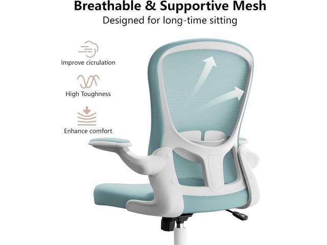 Ergonomic Office Chair, Comfort Swivel Home Office Task Chair, Breathable Mesh Desk Chair, Lumbar Support Computer Chair with Flip-up Arms and...