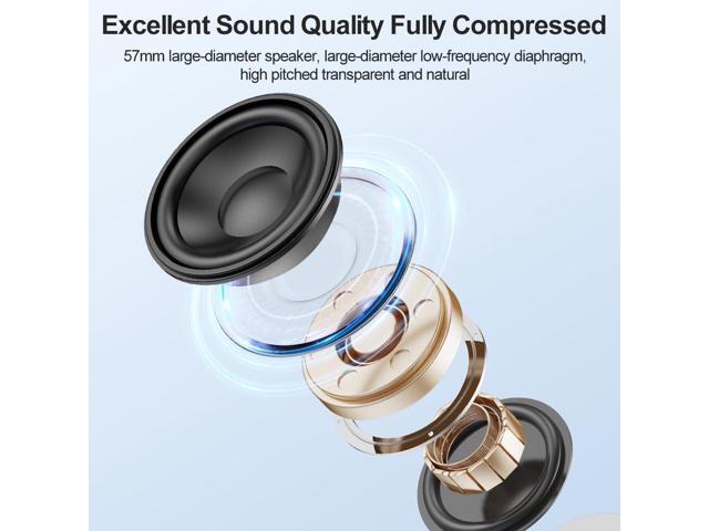 Portable Bluetooth Speaker with AUX Input, 8W Loud Stereo Sound, RGB Light, TF-Card/USB Flash Drive Input, Wireless BT 5.3 Dual Stereo Pairing, for...