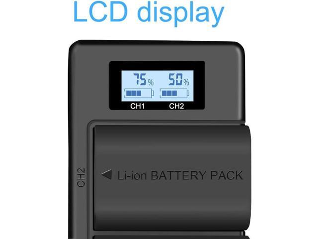 CITYORK LP-E6 LP-E6N (2-Pack 2000mAh) Replacement Battery and Rapid Dual USB Battery Charger for Canon EOS 5D Mark II/III/IV, 5DS, 5DS R, 6D, 7D,...