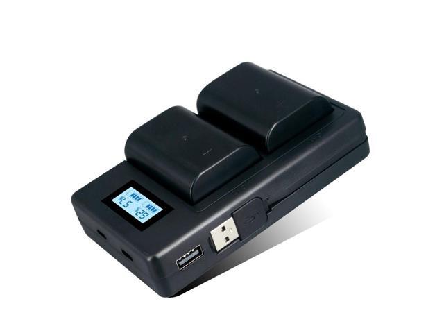 CITYORK 2 Pack DMW-BLF19 Batteries with LCD Charger for Panasonic Lumix GH3 GH4 GH5 G9 DMW-BLF19E Mobile Power,2200mAh