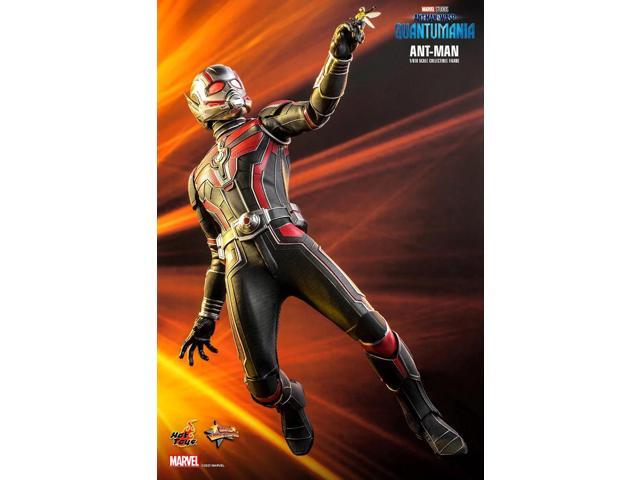 Figure Hot Toys MMS690 - Marvel Comics - Ant Man & The Wasp: Quantumania - Ant Man