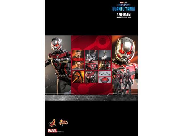 Figure Hot Toys MMS690 - Marvel Comics - Ant Man & The Wasp: Quantumania - Ant Man