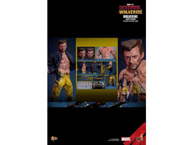 Figure Hot Toys MMS756 - Marvel Comics - Deadpool & Wolverine - Wolverine Jacket Version