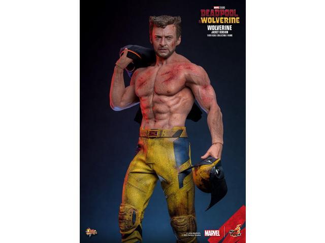 Figure Hot Toys MMS756 - Marvel Comics - Deadpool & Wolverine - Wolverine Jacket Version