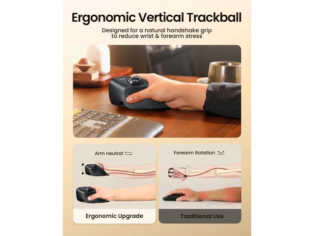 ProtoArc Vertical Wireless Trackball Mouse, EM05 NL Bluetooth Ergonomic Rollerball Mouse Rechargeable Computer Laptop Thumb Mice, 3 Device...