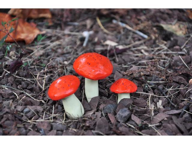 G & F MiniGardenn 10025 Fairy Garden Miniature Mushrooms (Set of 3), Orange, 0.5-1.25'High
