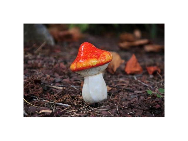 G & F 10042 MiniGardenn Fairy Garden Miniature Premium Collection Life Size Mushroom Statue (Set of 2), Orange