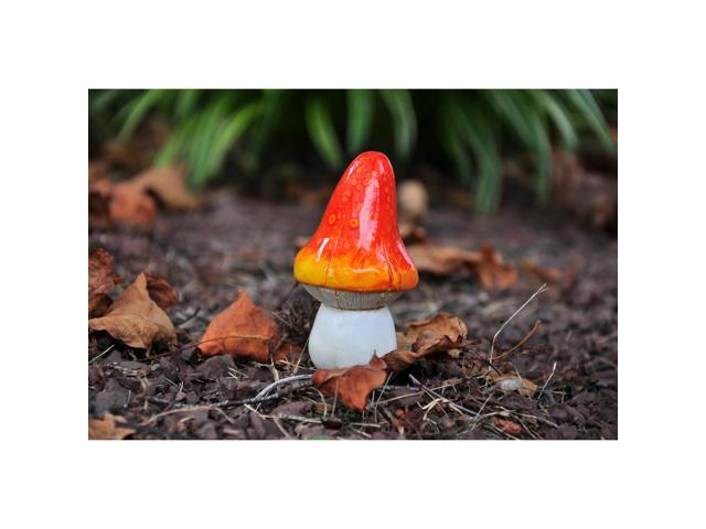 G & F 10042 MiniGardenn Fairy Garden Miniature Premium Collection Life Size Mushroom Statue (Set of 2), Orange