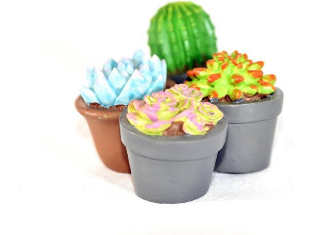G & F Products 10062 Garden Miniature, Succulent